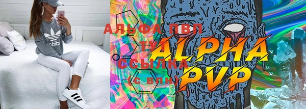 a pvp Белокуриха